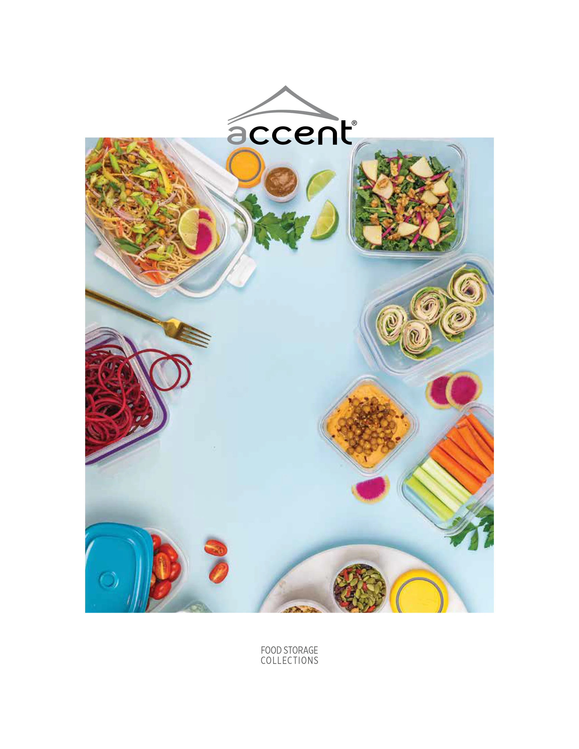 Accent home catalog 2025 cover